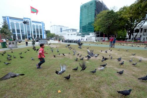 MDV04_18122017_TINJAUAN_BANDAR_MALE