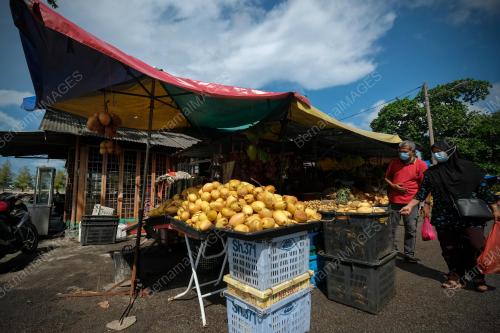 BUAH BINJAI