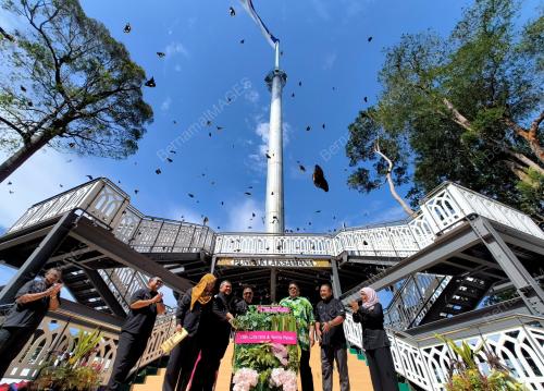 DATUK SERI AB RAUF YUSOH