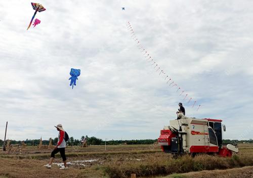 KARNIVAL D'BENDANG