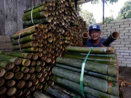 PEMBEKAL LEMANG BULUH