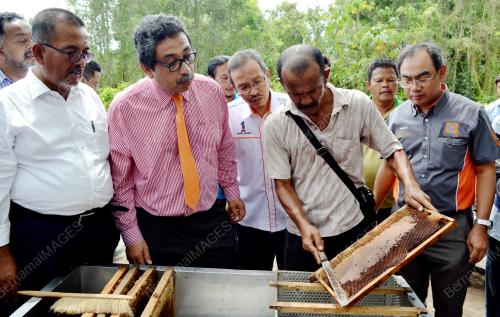 MK01_05042016_MOSTI_MADU
