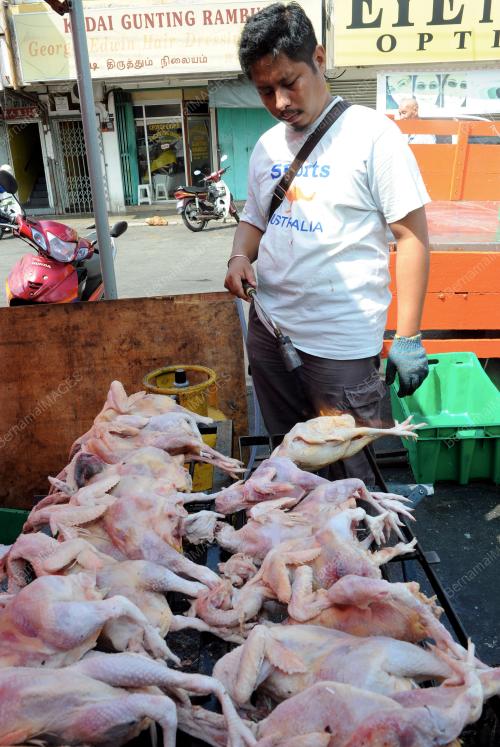 MK01_05072016_AYAM_RAYA