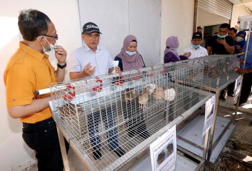 DATUK SERI DR RONALD KINDEE