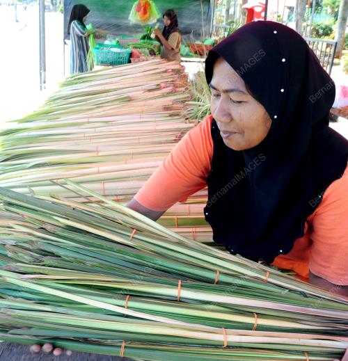 MK01_05082013_KETUPAT_PALAS