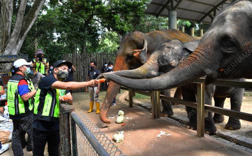 MK01_05082021_ZOO_MELAKA