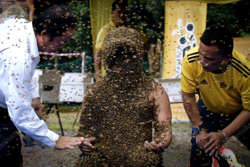MK01_05112018_BEE_MAN_BN201811042754