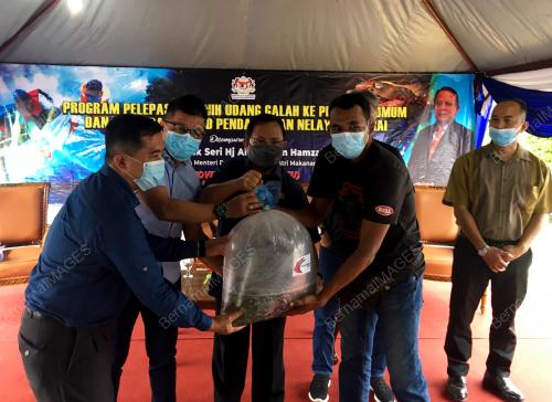 DATUK SERI AHMAD HAMZAH