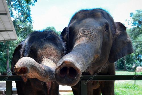 ZOO MELAKA
