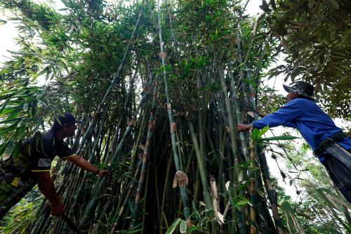 MK01_17032026_BULUH_LEMANG