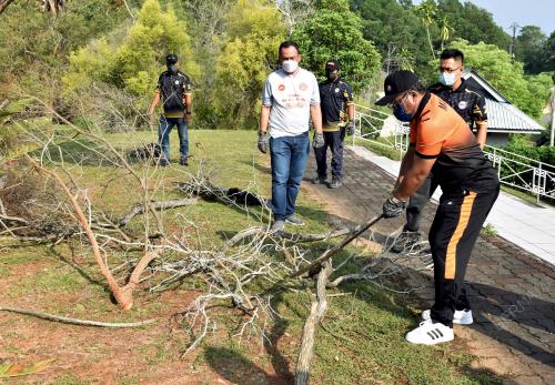 DATUK TS KAMEL MOHAMAD