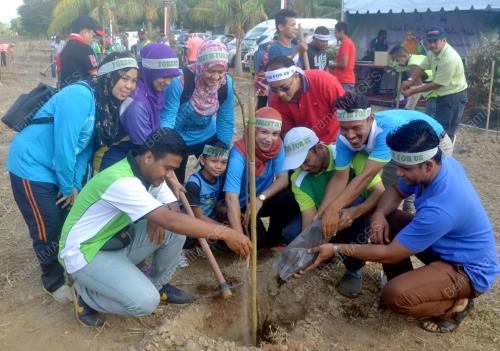 MK01_18042015_POKOK_TANAM