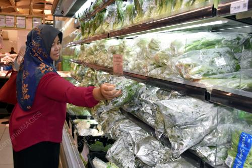 HARGA TURUN
