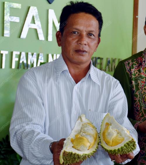 MK01_22112012_DURIAN_FAMA