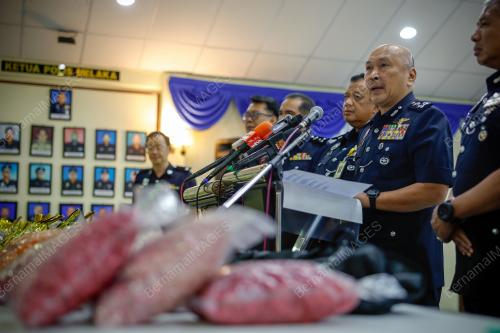 DATUK SERI MOHD KAMARUDIN MD DIN