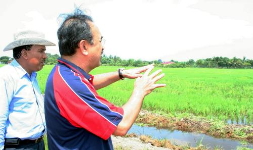 Mohd Ali Rustam