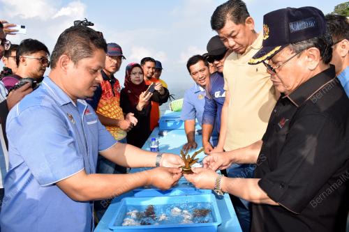DATUK SERI AHMAD HAMZAH