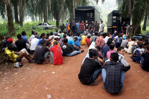 MK01_26032015_PENAGIH_DADAH