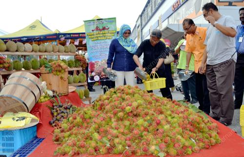 MK01_27082016_KARNIVAL_BUAH