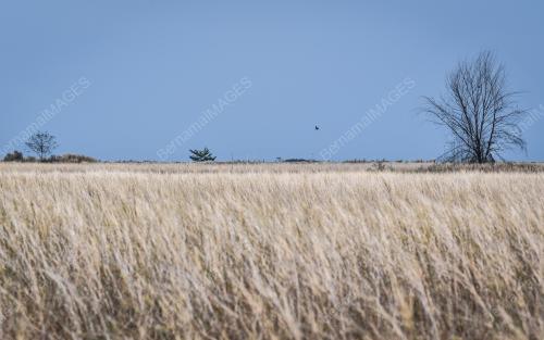 MK01_28022019_CUACA_PANAS