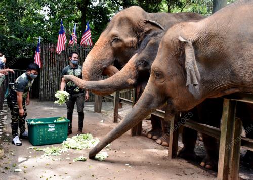 ZOO MELAKA