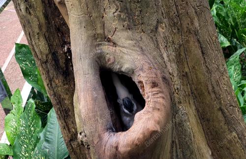 ZOO MELAKA