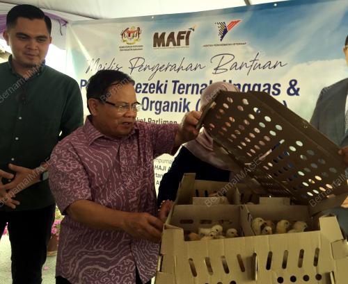 DATUK SERI AHMAD HAMZAH