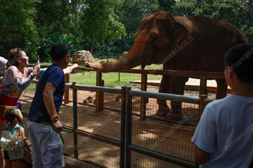 ZOO MELAKA