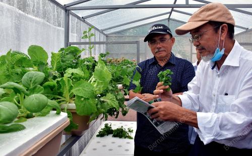DATUK SERI DR RONALD KIANDEE