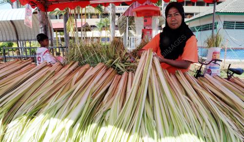 MK02_05082013_DAUN_KETUPAT