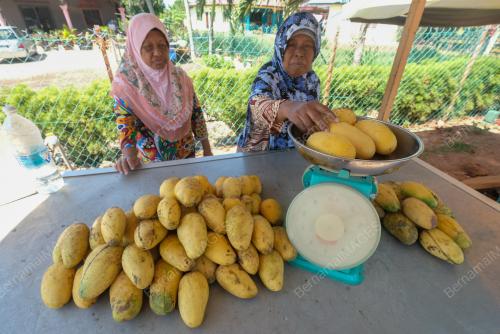 MK02_07062019_MANGGA_BN201905230428