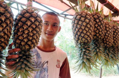 MOHD FAISAL AMIL