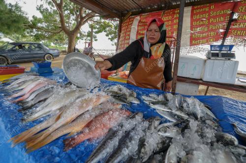 PENIAGA HASIL LAUT