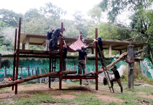 MK02_10112016_APE_ZOO