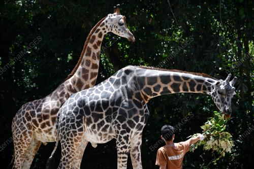 ZOO MELAKA