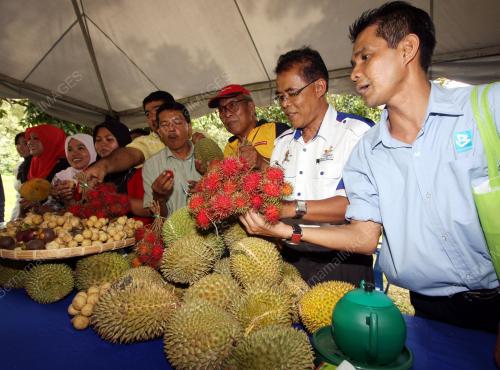 JOM MAKAN DURIAN UTeM