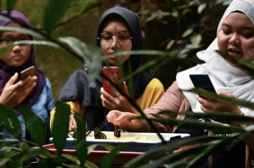 MK02_16092018_TAMAN_RAMA