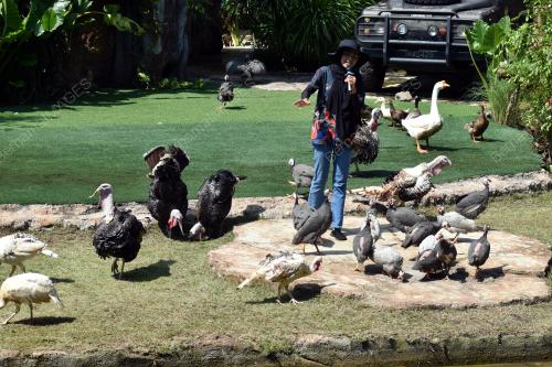 SAMBUTAN ZOONOSIS