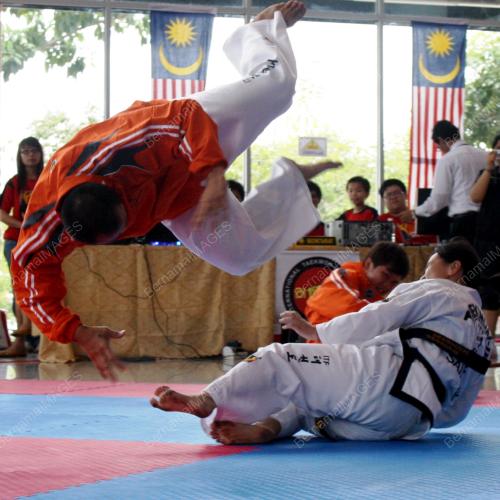 TAEKWONDO ITF