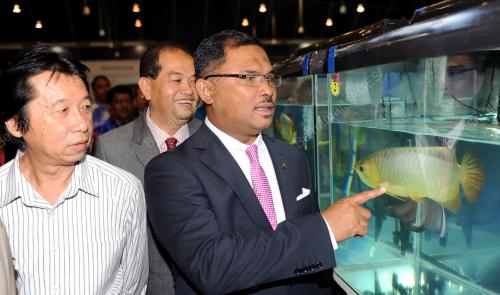 MK02_21112013_IKAN_KM-2