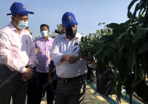 DATUK SERI SULAIMAN MD ALI