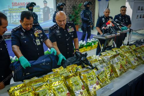 DATUK SERI MOHD KAMARUDIN MD DIN