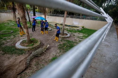 TAMAN BUAYA DAN REKREASI MELAKA