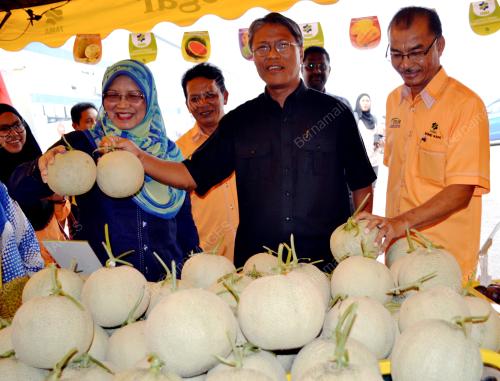 MK02_27082016_BUAH_KARNIVAL