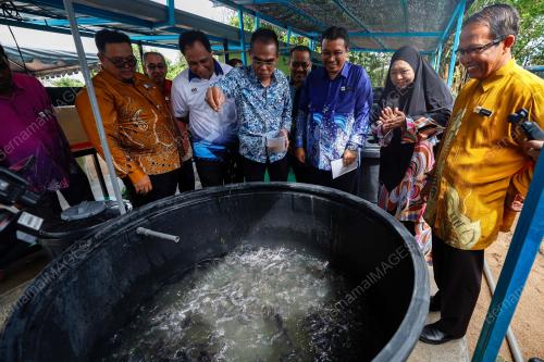 DATUK WAN ABDUL LATIFF WAN JAFFAR