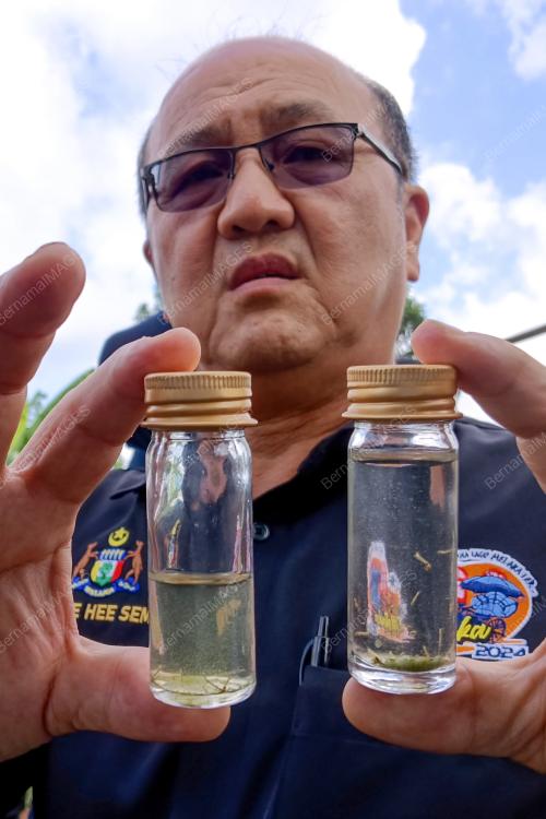DATUK NGWE HEE SEM