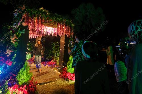 PESTA BUNGA