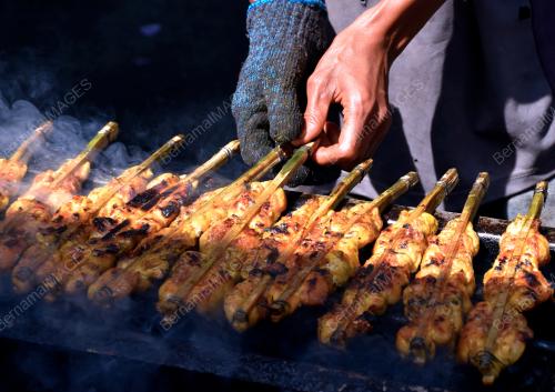 AYAM PERCIK HUTAN PERCHA