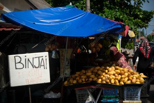 BUAH BINJAI