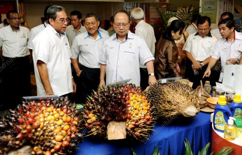 MK03_02102012_DOMPOK_SAWIT